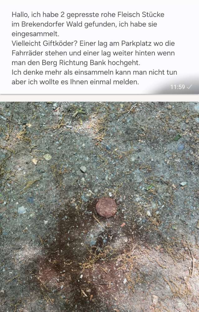 Giftköder-Giftköder-Profilbild