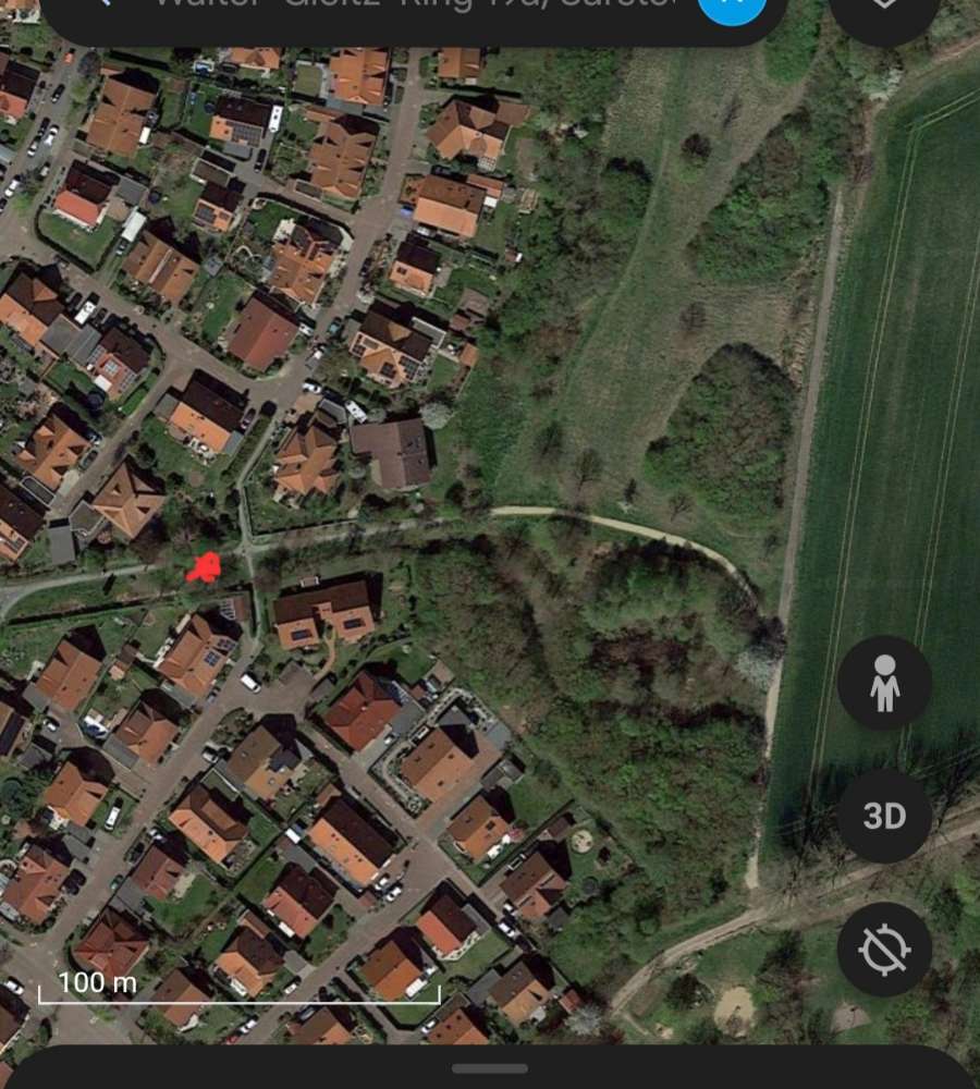 Giftköder-Tote Ratte-Profilbild