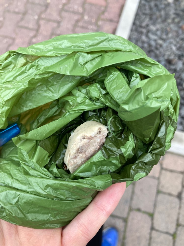 Giftköder-Leberwurst-Profilbild