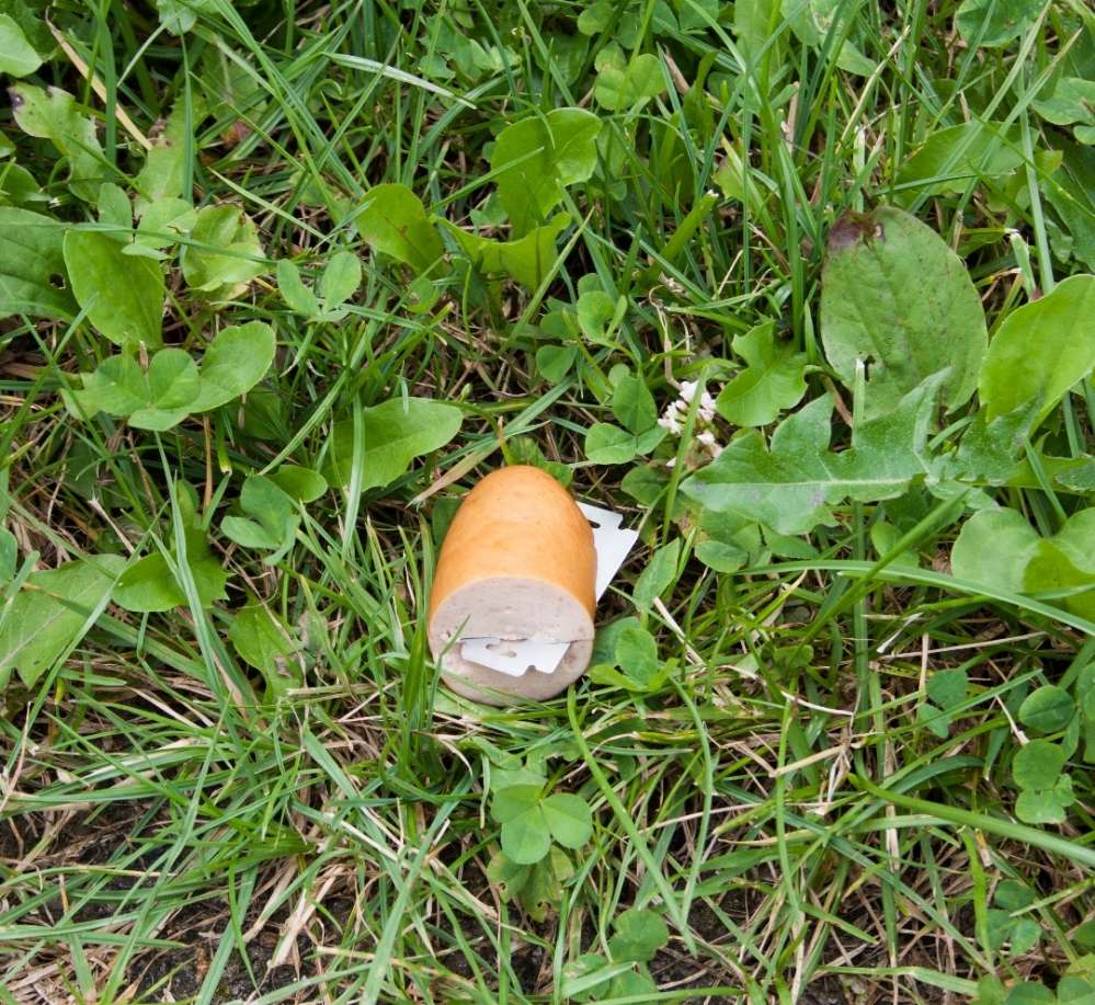 Giftköder-GIFTKÖDER!!!-Profilbild