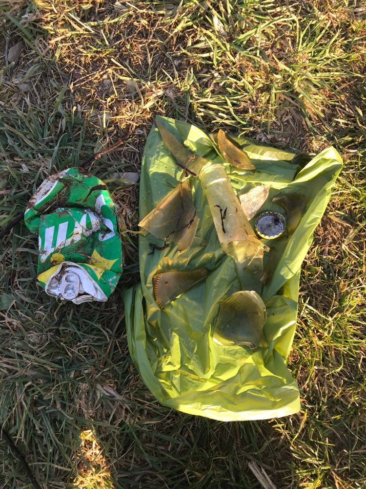 Giftköder-Zerbrochene Flaschen im Wasser-Profilbild