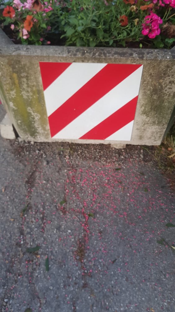 Giftköder-Giftköder, Rattengift-Profilbild