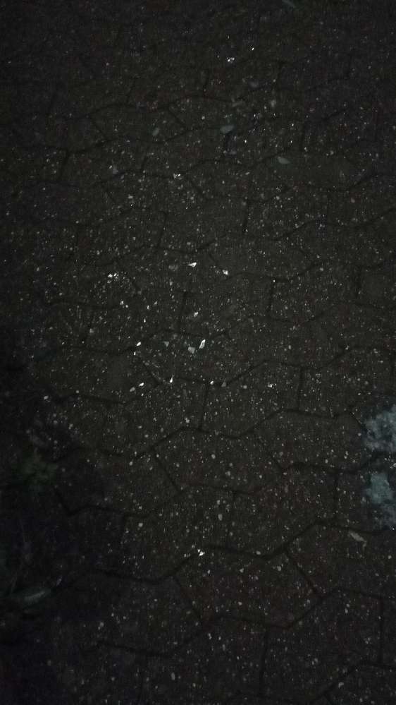 Giftköder-Glas in der Wiese und auf dem Weg-Profilbild