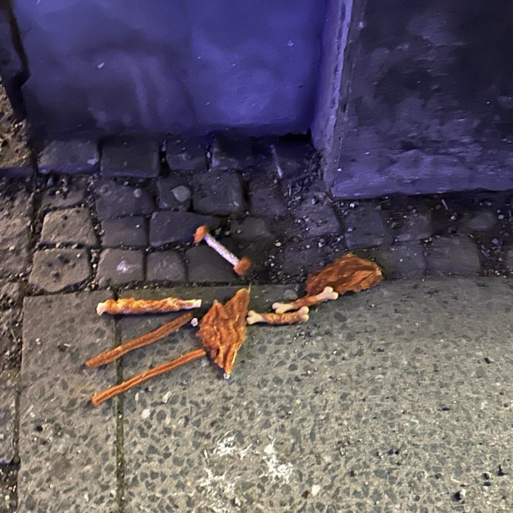 Giftköder-Giftköder-Profilbild