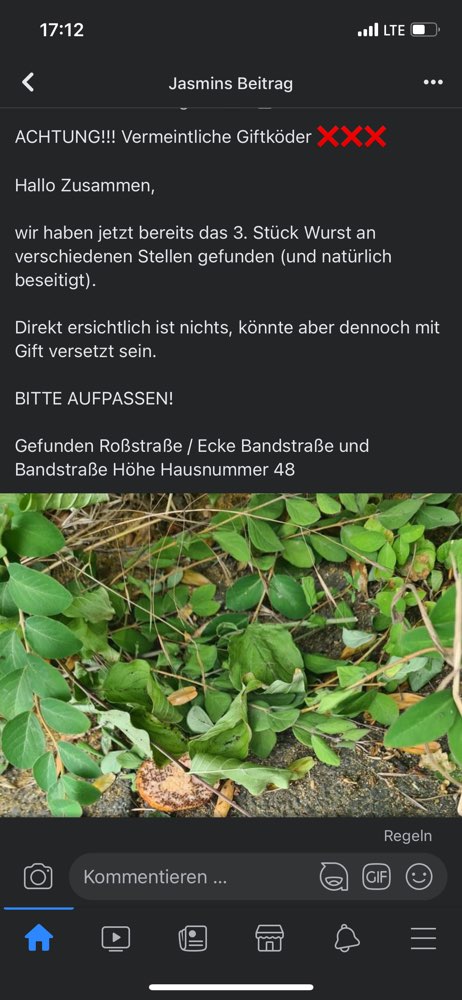 Giftköder-Evtl Giftköder-Profilbild