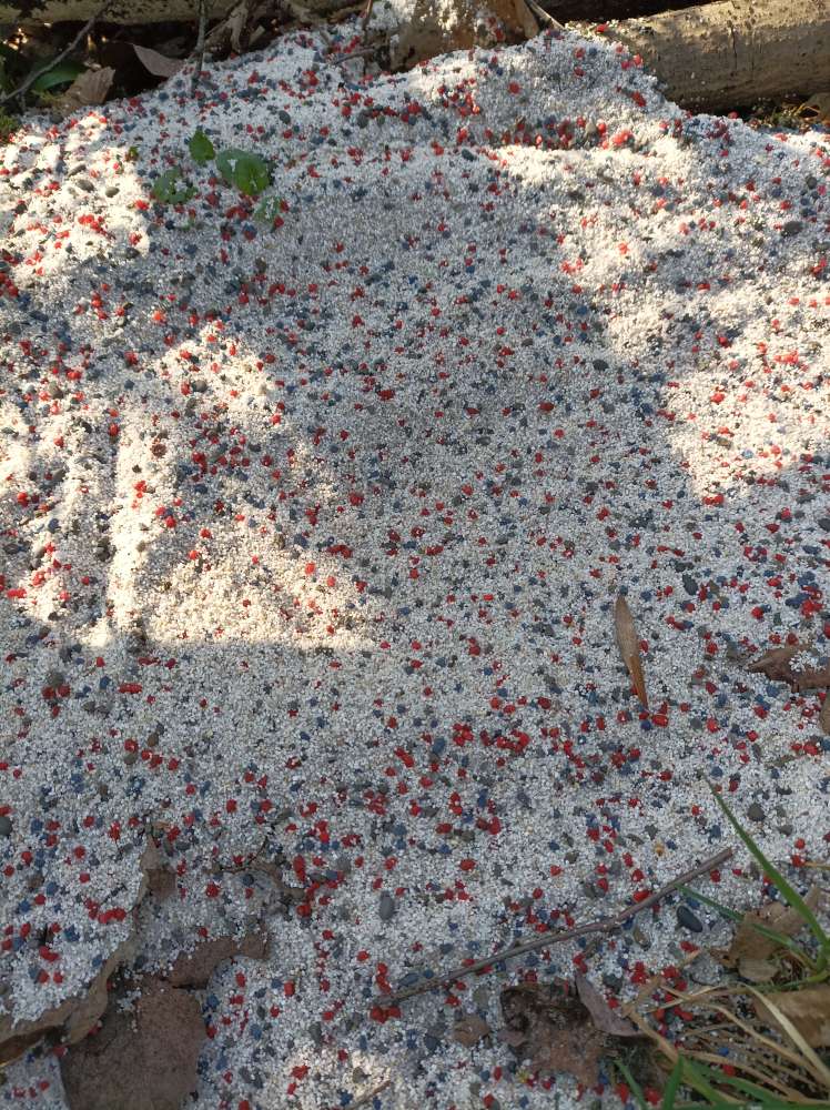 Giftköder-Vermutlich Rattengift-Profilbild