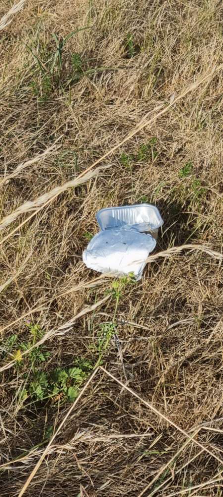 Giftköder-Möglicher Giftköder!-Profilbild