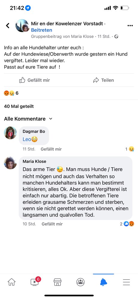 Giftköder-Hund vergiftet-Profilbild
