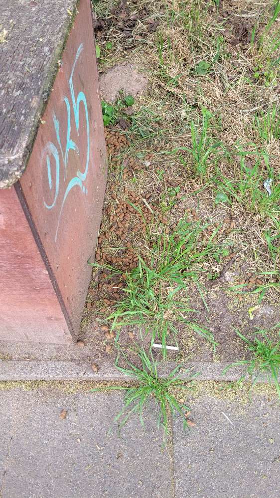 Giftköder-Große Mengen Trockenfutter-Profilbild