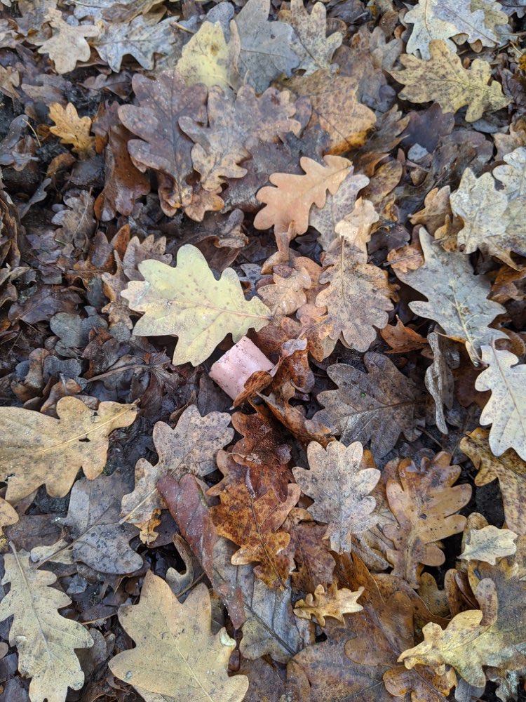 Giftköder-Evtl. Giftköder (Großes Stück Wurst)-Profilbild