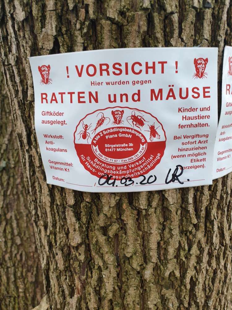 Giftköder-Giftköder-Profilbild