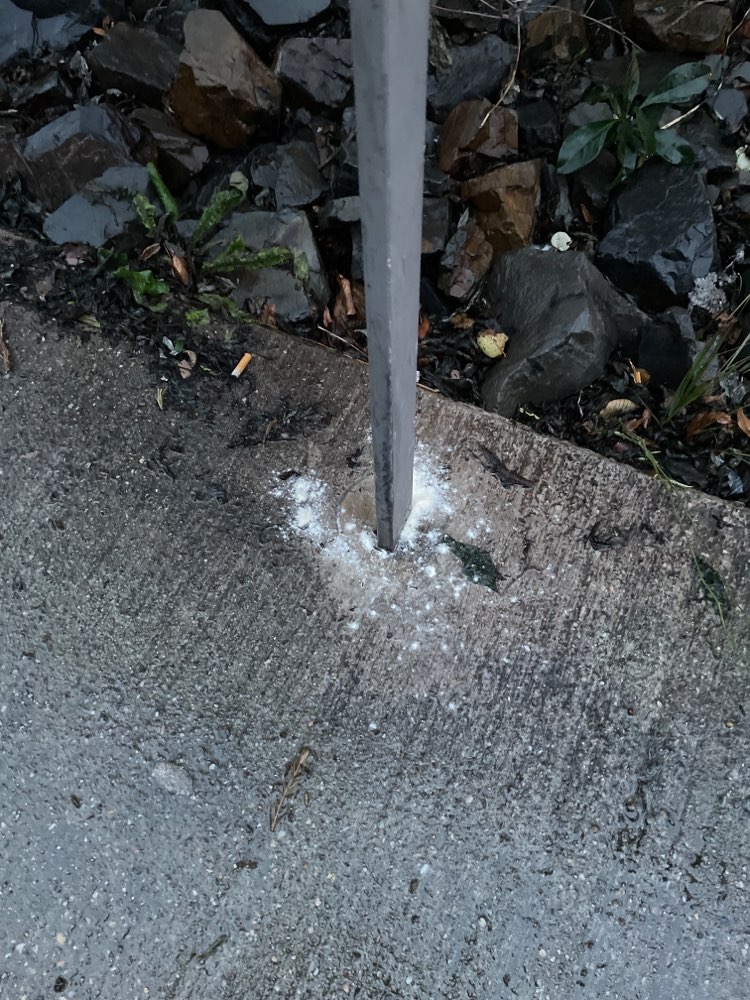 Giftköder-Weißes Pulver-Profilbild