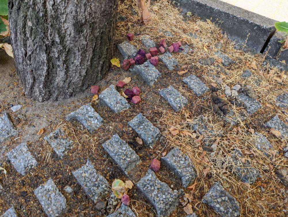 Giftköder-Giftköder in Form lilaner Brotstücke-Profilbild