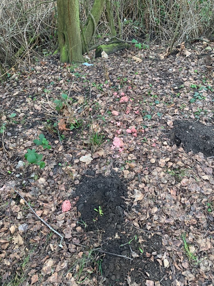 Giftköder-Hackfleisch verteilt-Profilbild