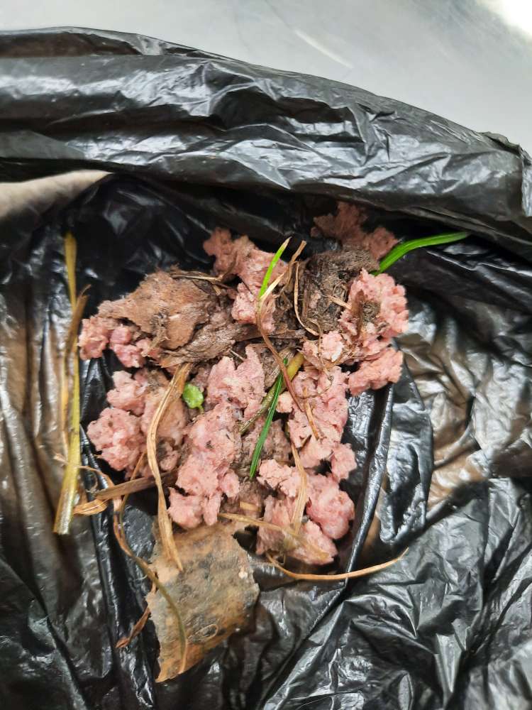 Giftköder-Wurstköder-Profilbild