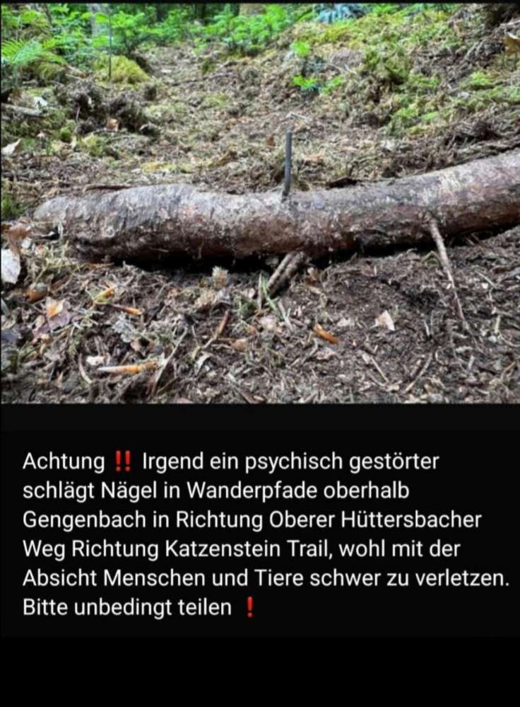 Giftköder-Nägel in Ästen auf den Wegen ausgelegt..-Profilbild