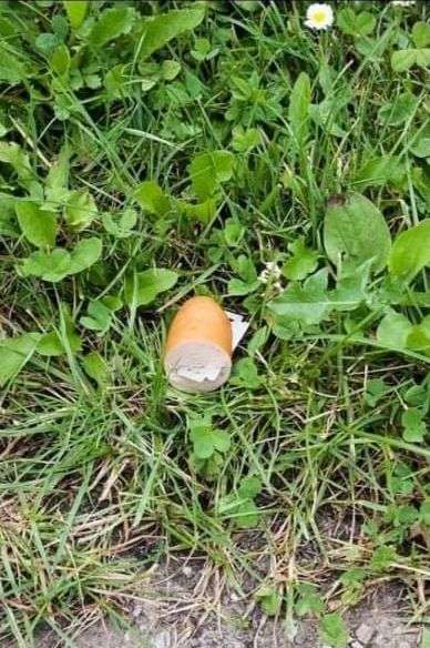 Giftköder-WURSTSTÜCKE MIT RASIERKLINGEN-Profilbild