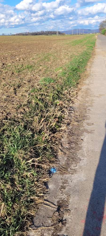 Giftköder-Giftköder oberhalb am Feldweg-Profilbild