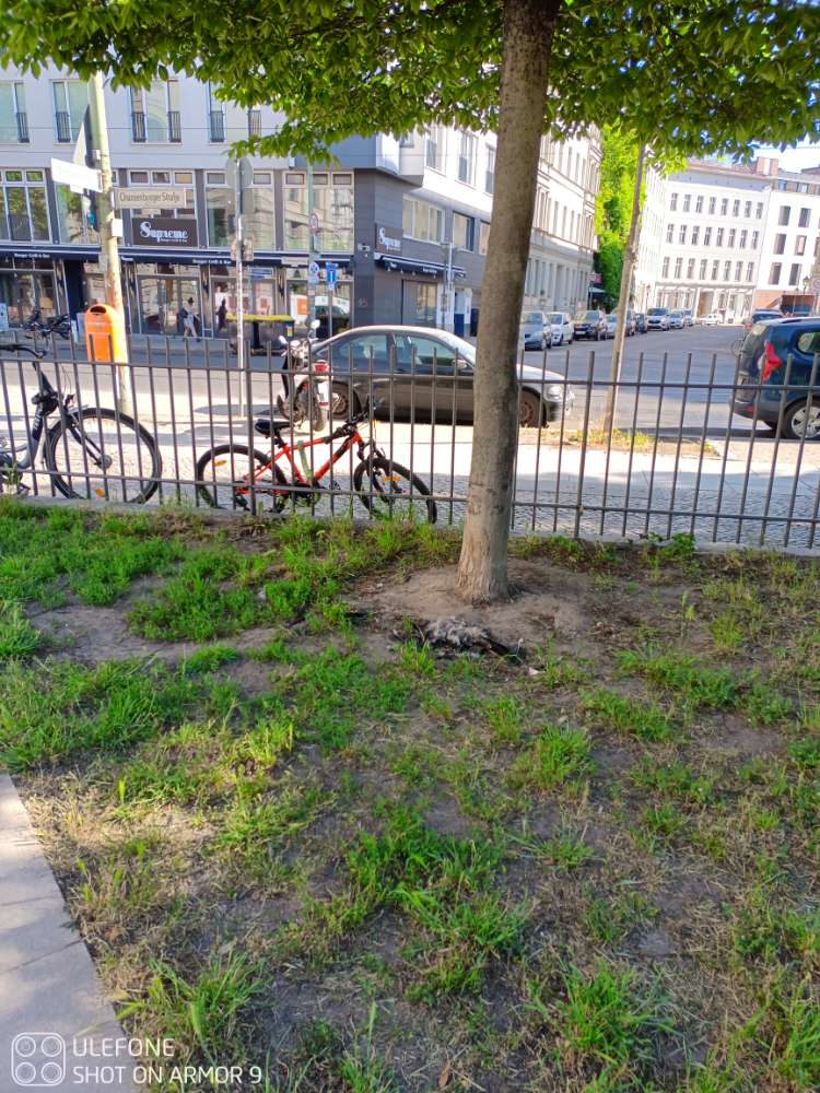 Giftköder-Töte Krahe-Profilbild