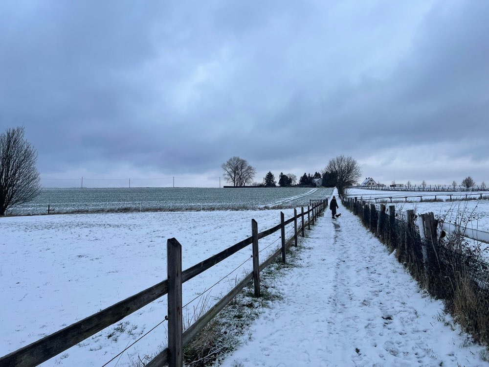 Hundetreffen-Gassi Runde Kleinhunde Witten-Profilbild