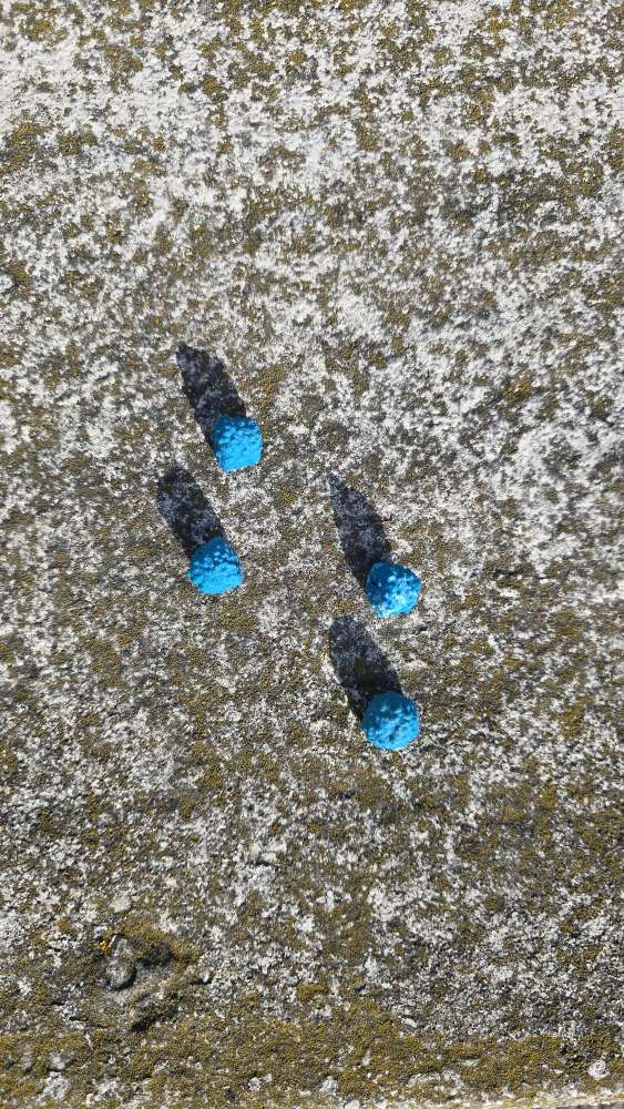 Giftköder-Auffällige blaue Kügelchen-Profilbild