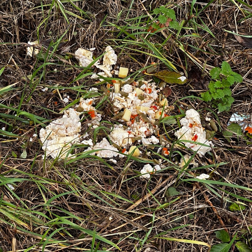 Giftköder-Giftköder Haus Scheppe-Profilbild