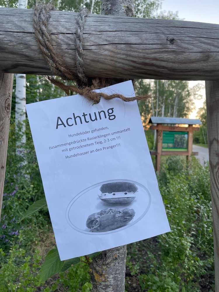 Giftköder-Köder mit Rasierklingen-Profilbild