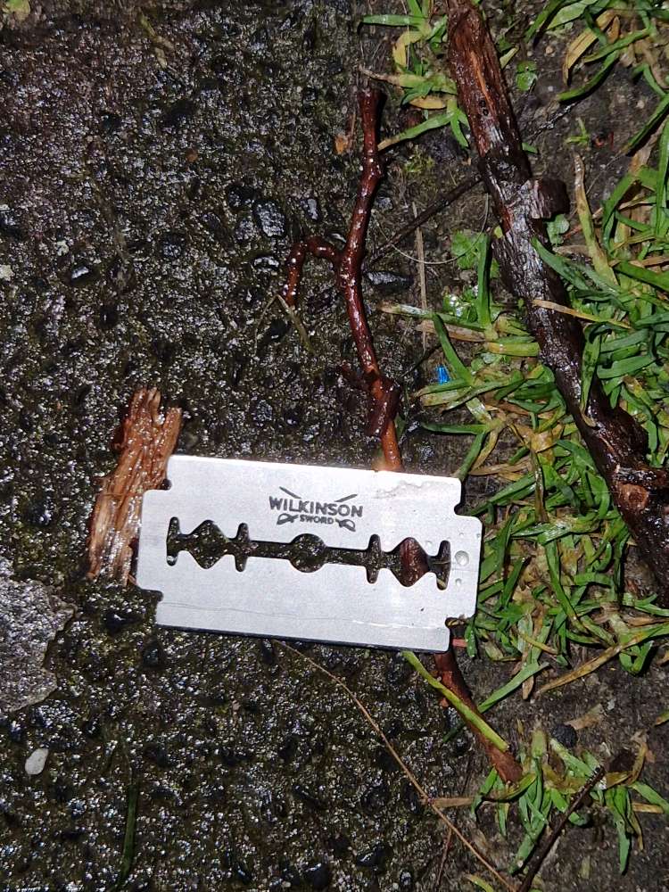 Giftköder-Rasierklinge auf Wiese am Königlichen Hof-Profilbild