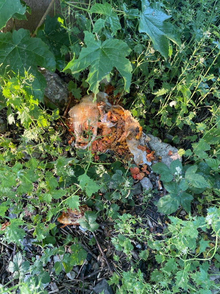 Giftköder-Gefährliche Essensreste-Profilbild