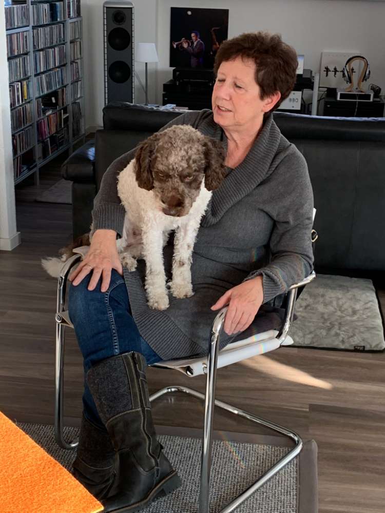 Hundetreffen-Ruhiger Hund sucht Gleichgesinnte-Profilbild