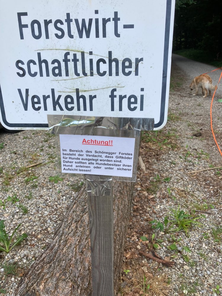 Giftköder-Giftköder, Schönegger Wald,-Profilbild