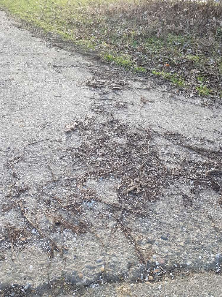 Giftköder-Stickstoffdünger-Profilbild