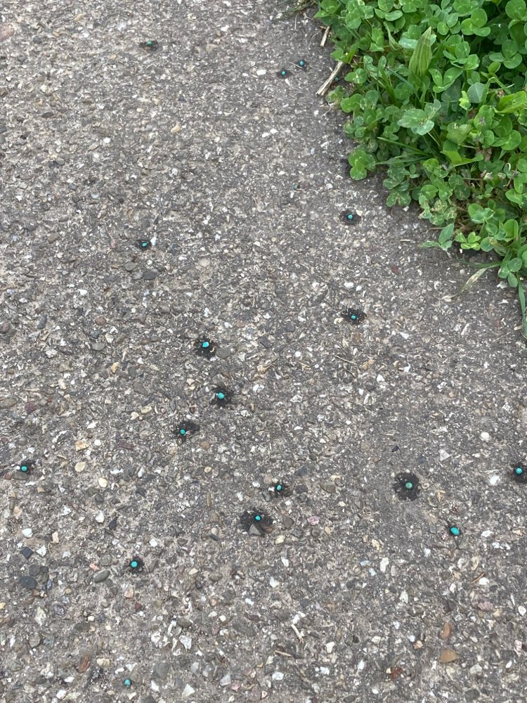 Giftköder-Stickstoffdünger Herdweg Wasserwerk-Profilbild