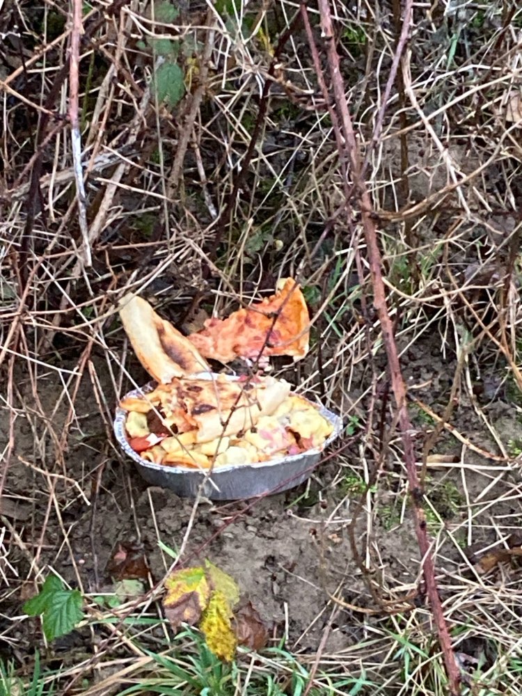 Giftköder-Achtung Speisenreste im Gebüsch-Profilbild