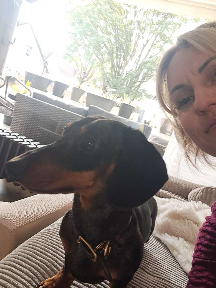 Hundetreffen-Dackel Treffen im Stadtwald Essen-Profilbild