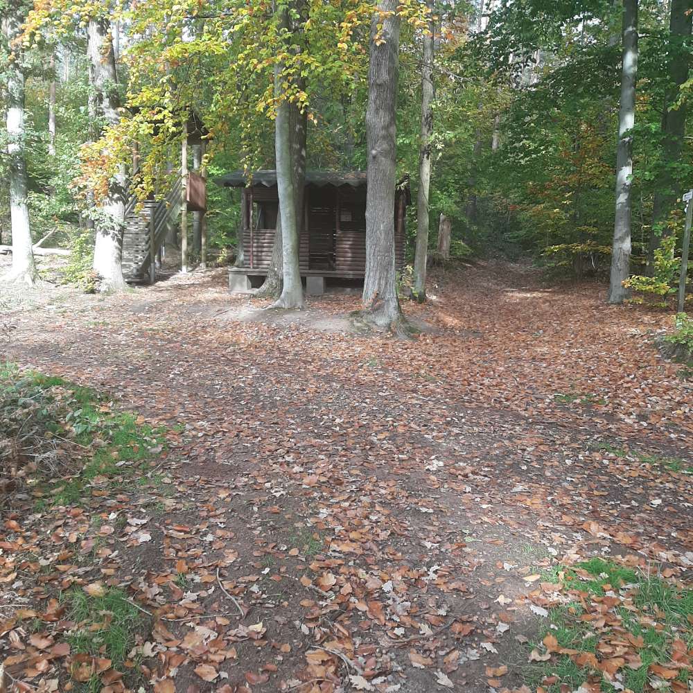 Giftköder-Giftköder-Profilbild