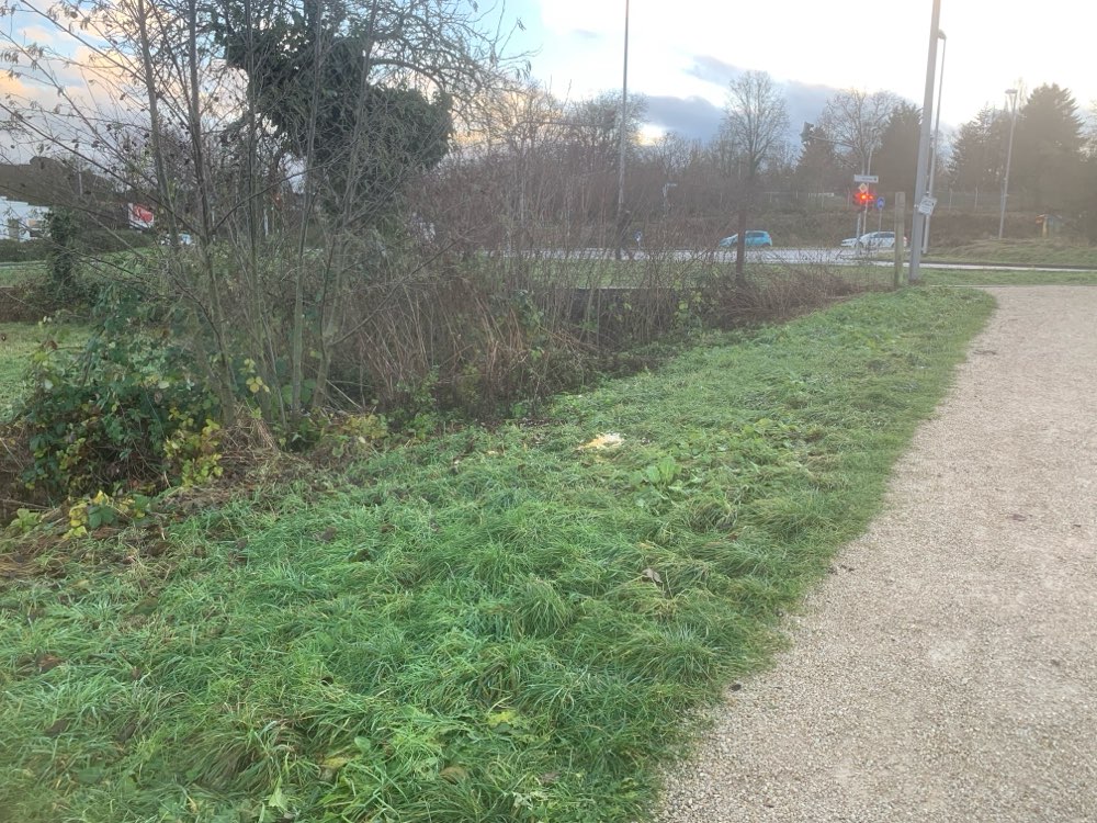 Giftköder-Giftköder-Profilbild