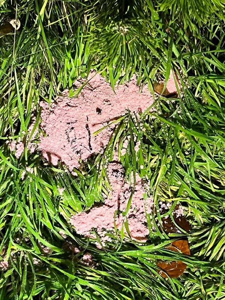 Giftköder-Giftköder in Form von Leberwurst vermute-Profilbild