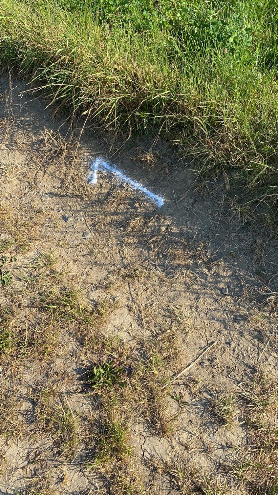 Giftköder-Weißes Pulver in Münklingen-Profilbild