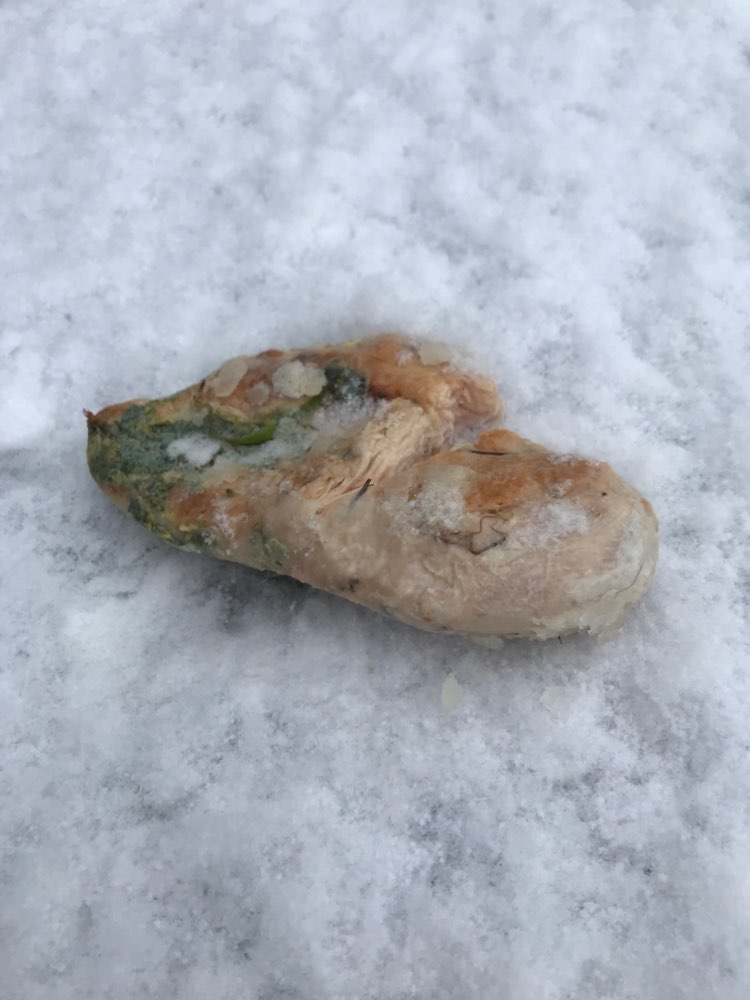 Giftköder-Hähnchenbrust mit grünem Belag-Profilbild