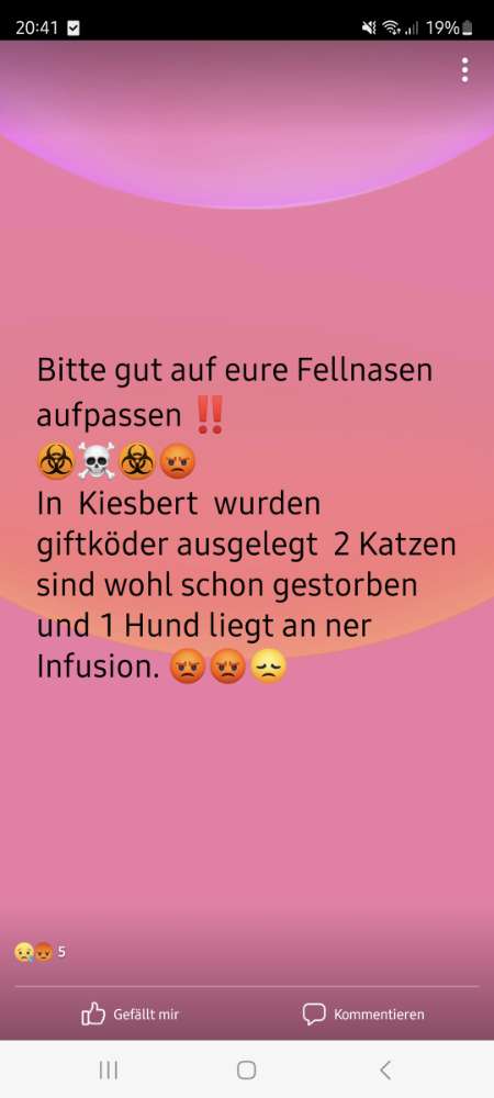 Giftköder-Giftköder-Profilbild