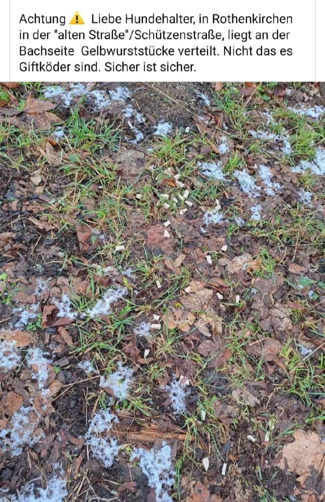 Giftköder-Giftköder-Profilbild