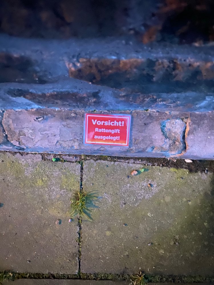 Giftköder-Rattengift-Profilbild