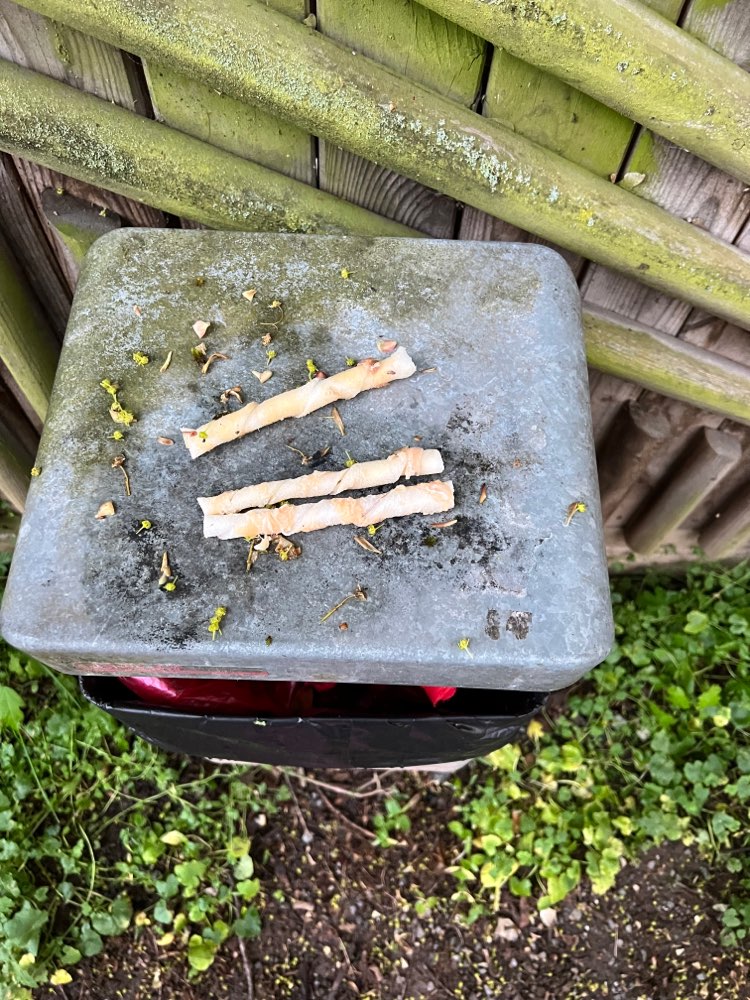 Giftköder-Ausgelegtes Futter-Profilbild