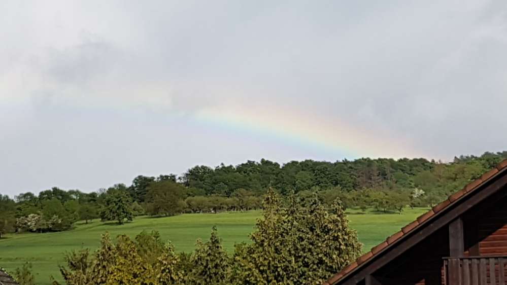 Hundetreffen-Canicross & Waldlauf Freunde gesucht!-Profilbild