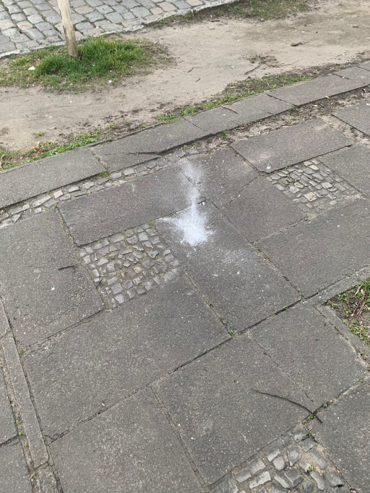 Giftköder-Weißes Pulver am Amalienpark-Profilbild