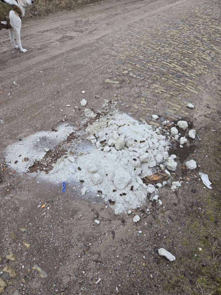 Giftköder-Verdacht auf Giftköder-Profilbild