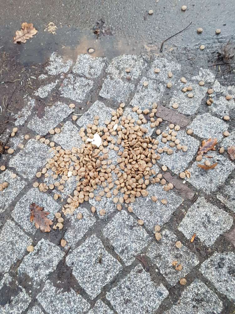 Giftköder-Viel Trockenfutter ausgestreut-Profilbild