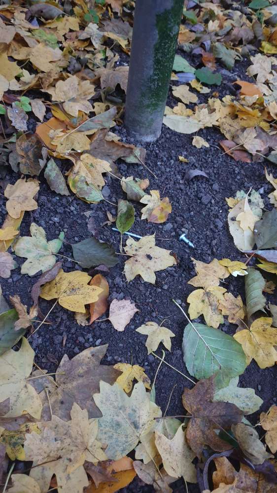 Giftköder-Giftköder! SCHRAUBEN mit Leberwurst!-Profilbild