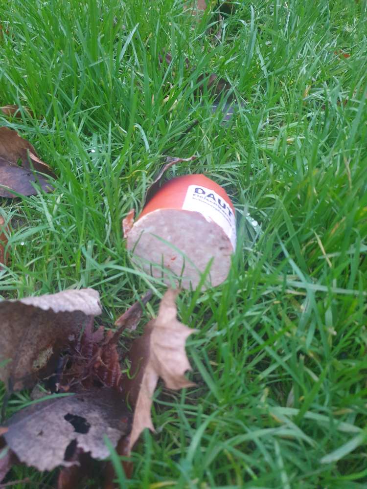 Giftköder-Mehrere Wurststücke mit roter Substanz-Profilbild